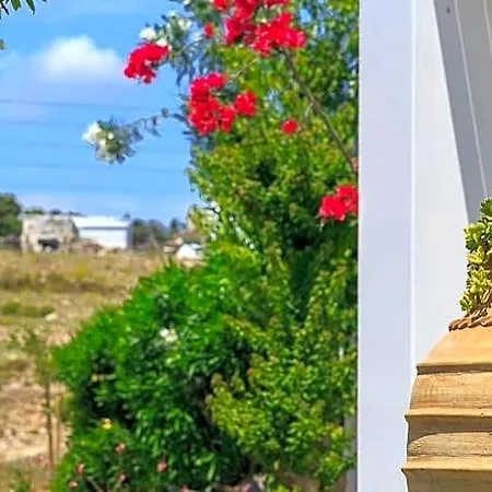 Acqua Marina Chrisi Akti (Paros)